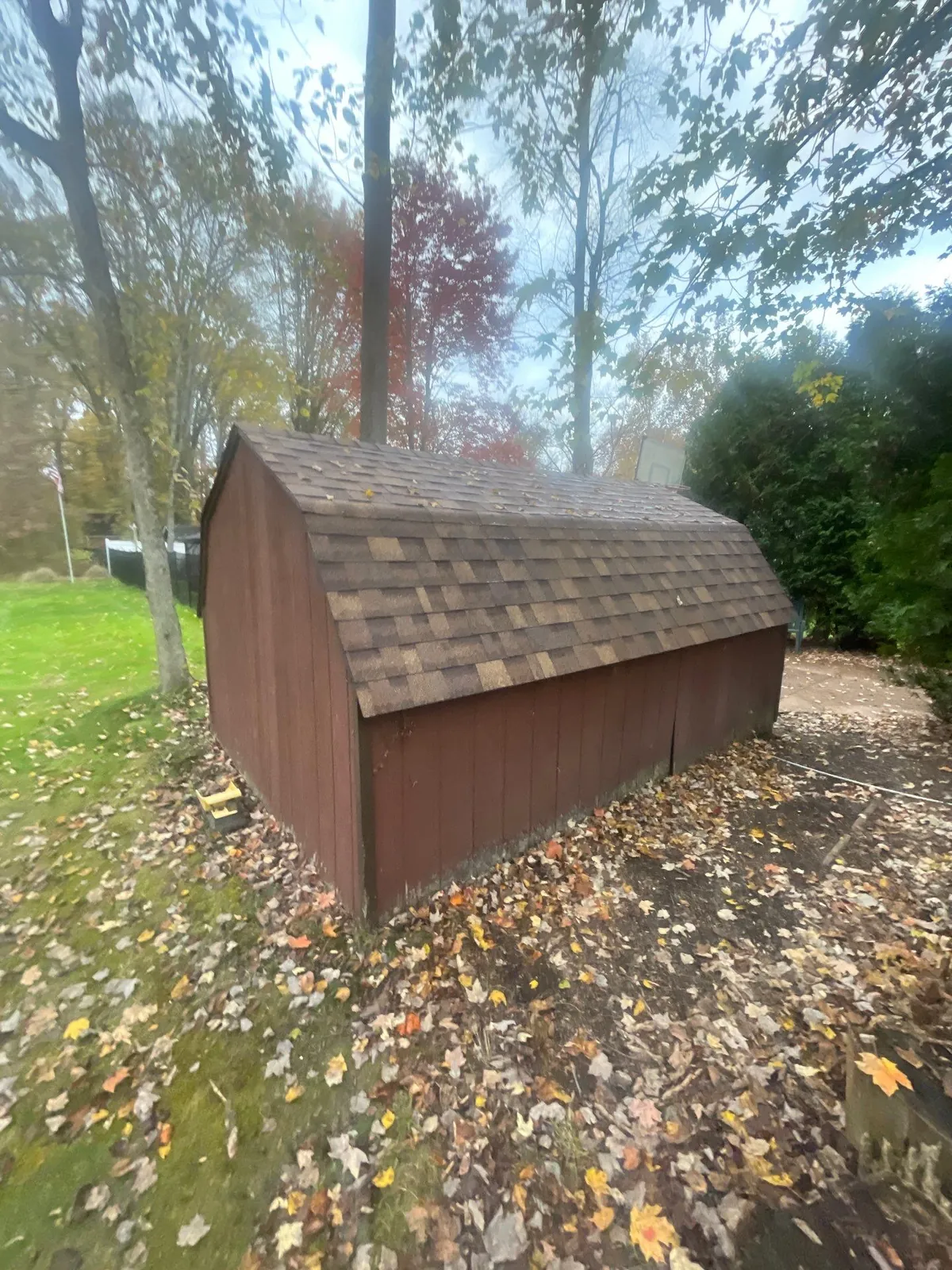 Backyard shed with a new brown shingle roof among fall leaves in Strongsville, Ohio